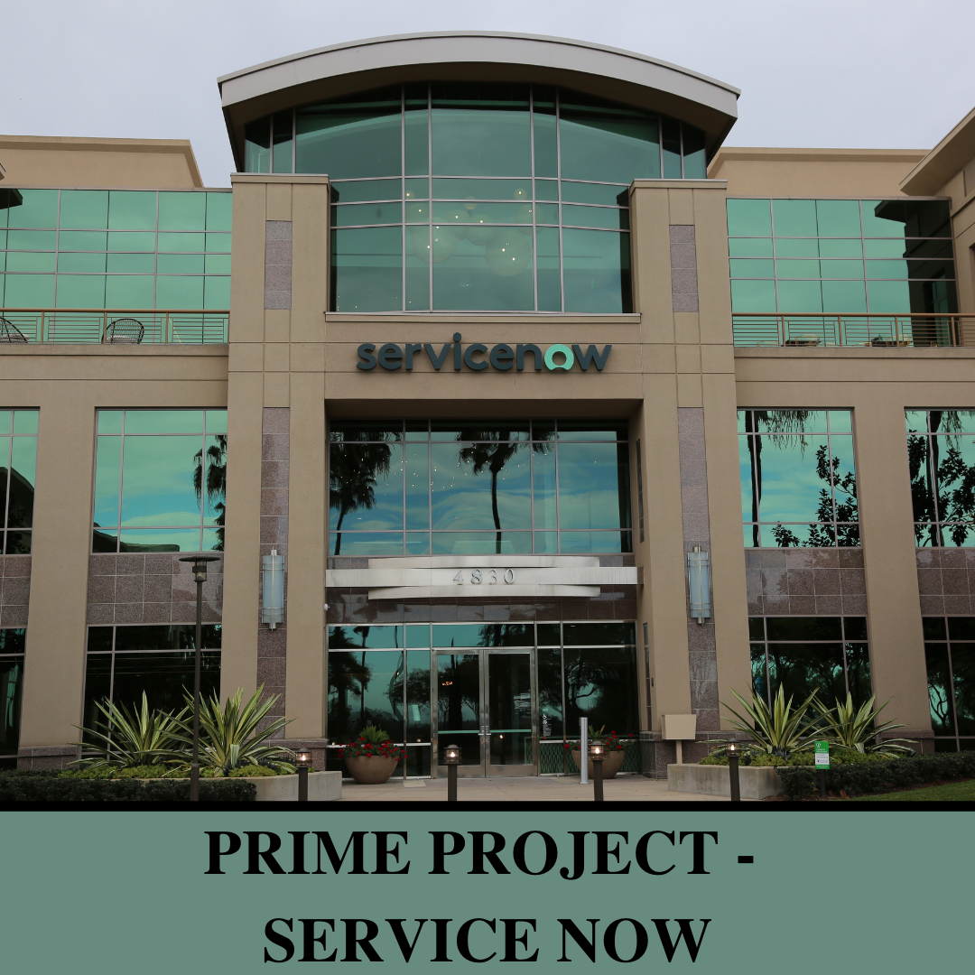 Prime Project - Service Now